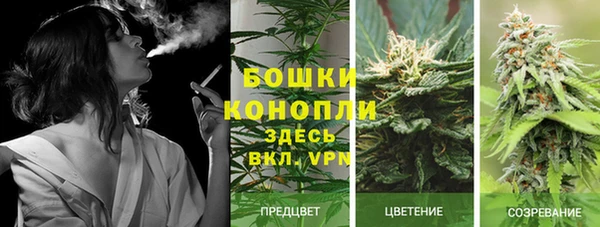 стаф Навашино