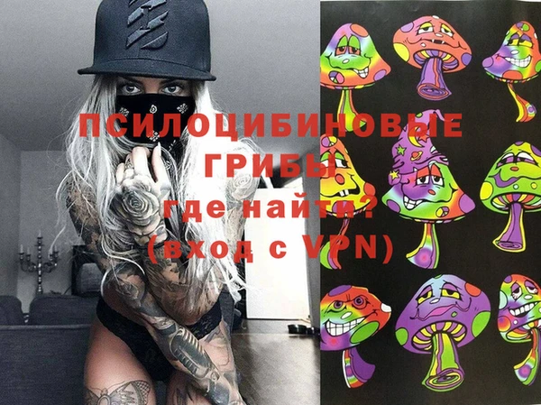 стаф Абдулино